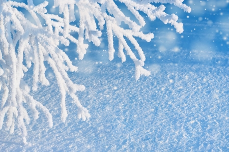 Winter background の写真素材