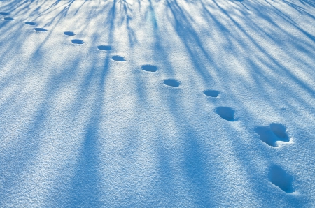 Footprints in the snow coverの写真素材