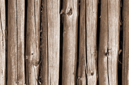 Fragment of the wall of the old stockadeの写真素材