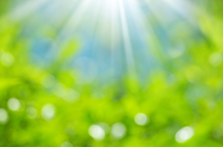 Natural green blurred background.の写真素材