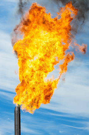 Gas flaring. Combustion of associated gas at oil production.の写真素材