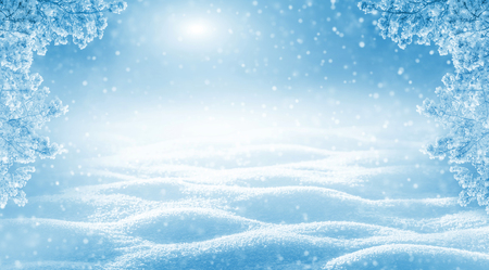 Winter bright background. Christmas landscape with snowdrifts and pine branches in the frost.の写真素材
