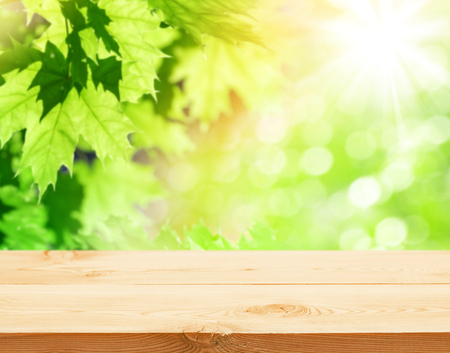 Empty wooden table on a background of spring bright foliage.の写真素材