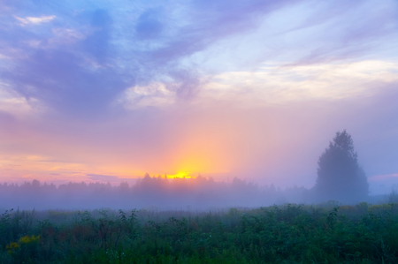 Colorful summer landscape with misty morning and cloudy skyの写真素材