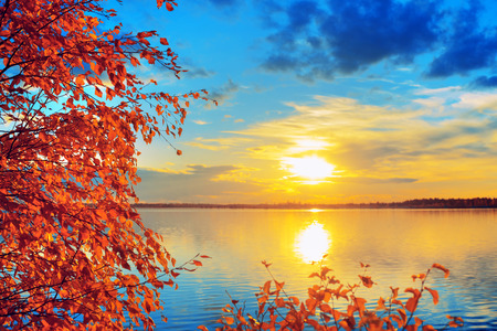 Colorful autumn landscape. Branches of birch on the shore of the lake in the rays of the setting sun.の写真素材