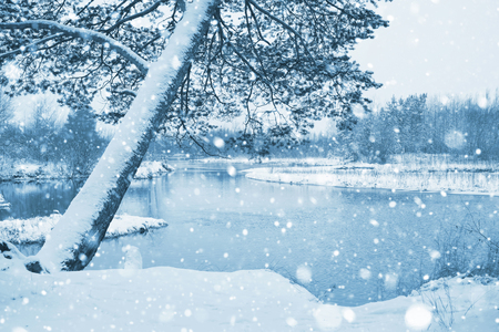 Landscape with the first snowfall with pine on the river bankの写真素材