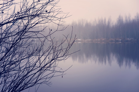 Autumn landscape with fog over the lakeの写真素材