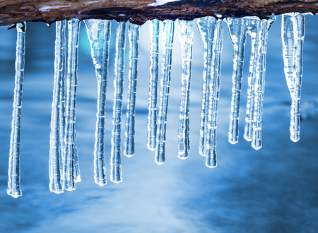 Icicles on an old tree hang above the surface of the waterの写真素材