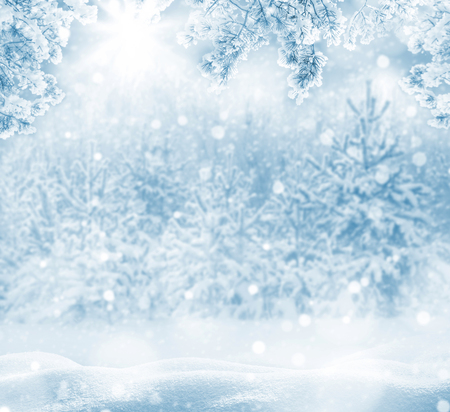 Winter bright background. Christmas landscape with snowdrifts and pine branches in the frost.の写真素材