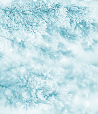 Winter backgroundの写真素材