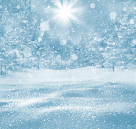 Winter bright background. Christmas landscape with snowdrifts and pine branches in the frost.の写真素材