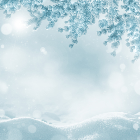 Winter bright background. Christmas landscape with snowdrifts and pine branches in the frost.の写真素材