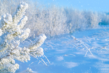 Winter landscape. Colorful winter landscape with snowy forest and snowdriftsの写真素材