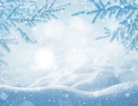 Winter bright background. Christmas landscape with snowdrifts and pine branches in the frost.の写真素材
