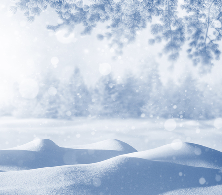 Winter holiday background. Christmas landscape with snowdrifts and pine branches in the frost. Background for design and cards.の写真素材