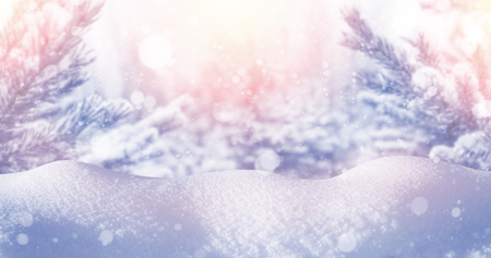 Bright winter background. Christmas background with snow-covered fir trees and snowdriftsの写真素材