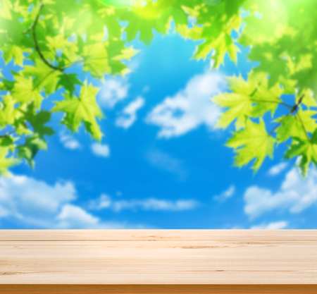Bright leaves of  maple tree against blue sky. Empty wooden table on  background of summer bright foliage.の写真素材