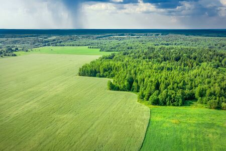 Aerial photography from drone. Summer landscape with views of agricultural fieldsの写真素材