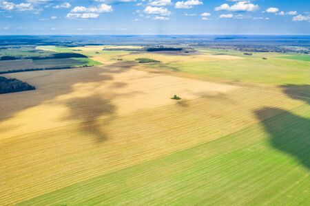 Summer rural landscape. Aerial survey of agricultural fields. Picturesque rural fields from a bird's eye view.の写真素材