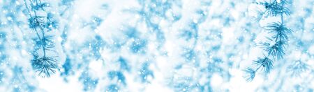 Bright winter background with snow-covered pine trees. Natural festive background.の写真素材