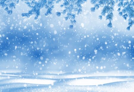 Christmas bright background. Winter Christmas background for design and greeting cards. Winter landscape.の写真素材