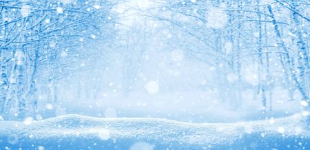 Winter background. Christmas landscape with snowdrifts and tree branches in the frostの写真素材