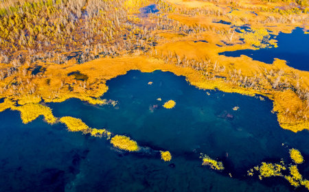 Autumn landscape. West Siberian Plain. Aerial view. Endless forests and swamps of Siberia.