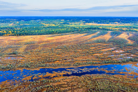 Autumn landscape. West Siberian Plain. Aerial view. Endless forests and swamps of Siberia.の写真素材