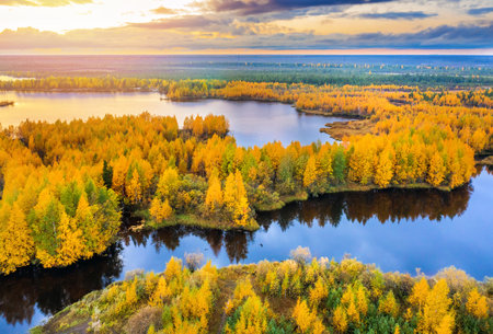 Colorful autumn landscape. Forest lake with autumn forest. Western Siberiaの写真素材