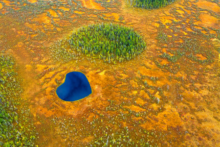 Autumn landscape. West Siberian Plain. Aerial view. Endless forests and swamps of Siberia.の写真素材