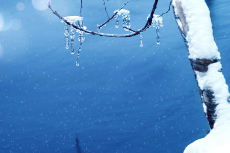 Icicles on tree branch. Ice icicles hang above the surface of the waterの写真素材