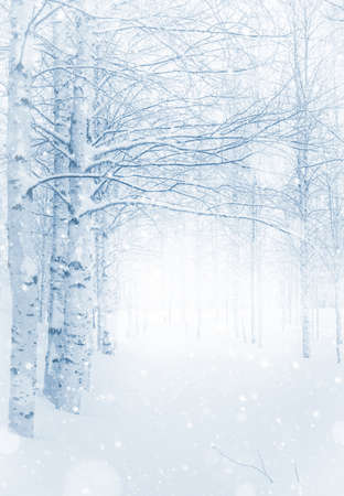 winter landscape. snow covered birch grove. Winter background with snow-covered birch trees. snowfall in winter parkの写真素材