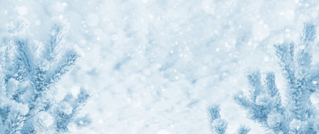 Winter background. Christmas background with snow-covered pine branch. Snow-covered branches of pine tree against the background of the sky with clouds.の写真素材