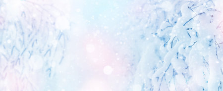 Birch branches covered with hoarfrost. Winter background with snow-covered birch trees. Winter background. Tree branches in the forest in the sun.の写真素材