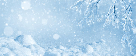 Winter bright background. Frozen birch branches in the sunlight. Winter scene. A frost-covered branch of a birch tree over a snowdrift.の写真素材