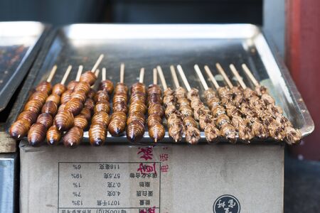 Grill and fried silkworm pupae on sticks in Wangfujing street, shopping street in Beijing, Chinaのeditorial素材