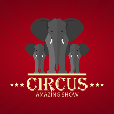 Circus. Amazing Show. Elephant. Flat illustrationのイラスト素材
