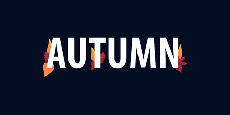 Autumn Background with leaves for shopping sale or promo poster and frame leaflet or web banner. Vector illustration templateのイラスト素材