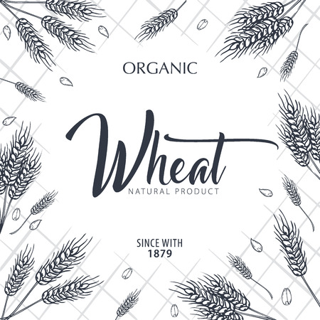 Bakery background with wheats. Linear graphic. Bread banner collection. Bread house. Vector illustration.のイラスト素材