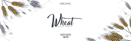 Bakery background with wheats. Linear graphic. Bread banner collection. Bread house. Vector illustration.のイラスト素材