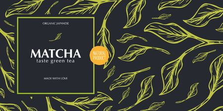 Matcha green tea. Organic Japanese Product. Banner with hand draw leaves on the backgroundのイラスト素材