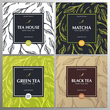 Collection tea banners. Green and Black tea, Matcha Japanese tea. Hand draw leaves on the backgroundのイラスト素材