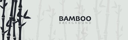 Bamboo forest background. Nature of Japan or China.のイラスト素材