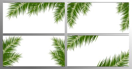 Set of Summer Tropical palm leaves. Exotic palms tree. Floral Backgroundのイラスト素材