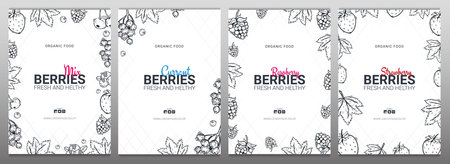 Sert of Berries banners with raspberries, strawberries, currants and cherries. Food design template with berryのイラスト素材