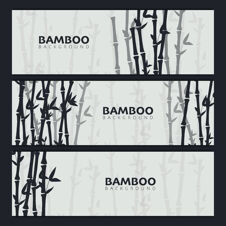 Set of Bamboo forest backgrounds. Nature of Japan or Chinaのイラスト素材