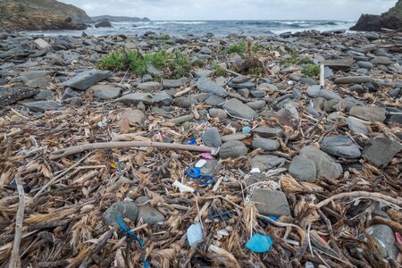 plastic pollution mixed with dried seaweed on paradisaical beaches in Menorca, Spainの写真素材