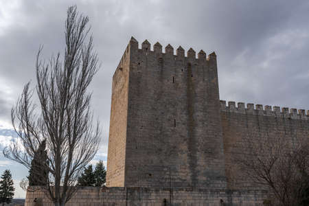 romanesque castle and dramatic cloudy and stormy skyのeditorial素材