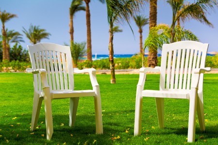 White beach chairs on the grass under palm near the beach. の写真素材