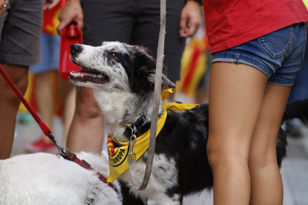 Manifestation for the National Day of Catalunya (Diada) 2018.のeditorial素材